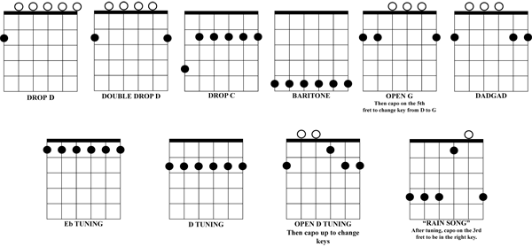 オートチューニングギター PEAVEY AT-200: もじゃもじゃ鮪の面白楽器日記